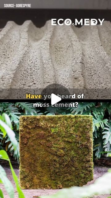 Natural Building Materials Architecture, Moss Cement Wall, Moss Concrete, Moss House, Manor Exterior, Building Materials Architecture, French Manor, Pine Cabin, Moss Walls