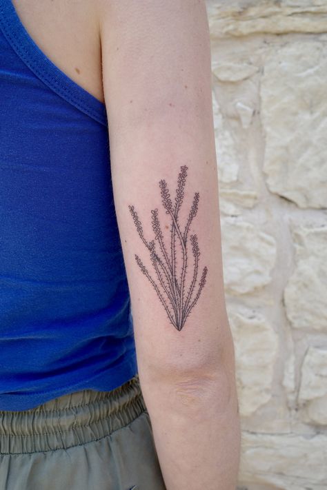 NATTYTOOS Big Bend Tattoo, Ocotillo Tattoo, Big Bend, Couple Tattoos, Mini Tattoos, Close To My Heart, Austin Texas, I Tattoo, Bend