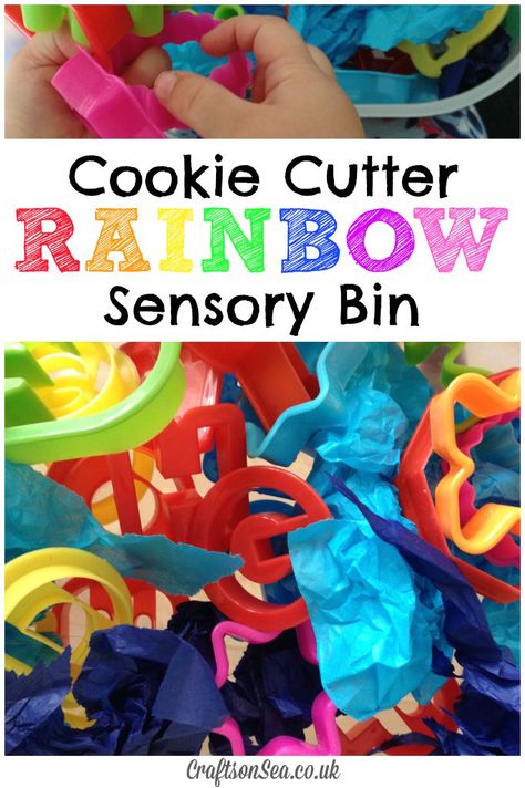 Cookie Cutter Rainbow Sensory Bin Cookie Sensory Bin, Rainbow Sensory Bin, Sensory Processing Activities, Sensory Play Recipes, Rainbow Sensory, Activities For One Year Olds, Toddler Sensory Bins, Sensory Tubs, Rainbow Activities