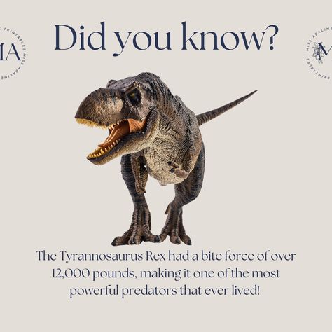 Did you know? The Tyrannosaurus Rex had a bite force of over 12,000 pounds, making it one of the most powerful predators that ever lived! Explore more amazing facts about dinosaurs with our Dino Valentines Workbook. #FunFactFriday #DinosaurFacts #MissAdalinePrintables Facts About Dinosaurs, Dino Valentines, Dinosaur Facts, Fun Fact Friday, Tyrannosaurus Rex, Toddler Learning, Amazing Facts, Most Powerful, Dinosaurs