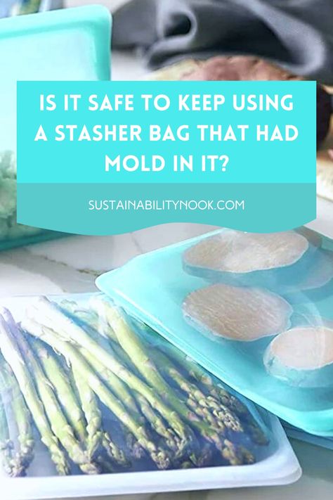 Stasher bags are a popular reusable alternative to plastic bags. But what happens if your Stasher bag gets moldy? Is it safe to still use it after you've washed it? Find out here! Stasher Bags, Plastic Bags, Cleaning Organizing, Asparagus, Steam, Sustainability, Canning