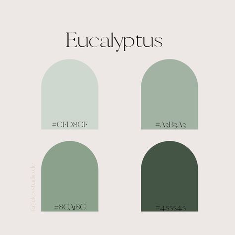 Eucalyptus color palette | Shopify | Canva | Media Design Eucalyptus Color Palette, Eucalyptus Color, Brand Palette, Eucalyptus Leaf, Leaf Green, Media Design, Paint Colors, Color Palette, Wedding Ideas