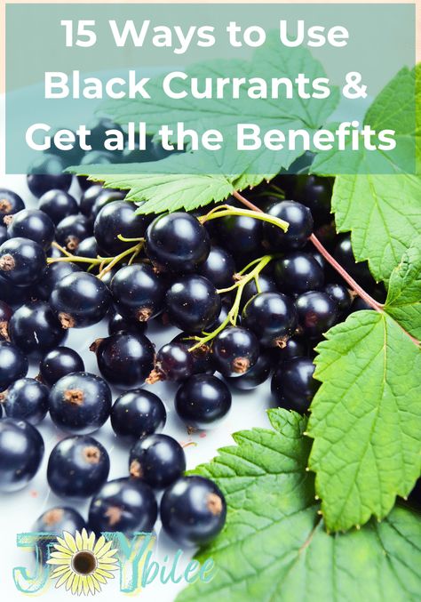 Black Currant Health Benefits, Black Currant Seed Oil Benefits, Black Currant Benefits, Healthy Heart, Chef Hat, Black Currant, Oil Benefits, Black Currants, Chefs Hat