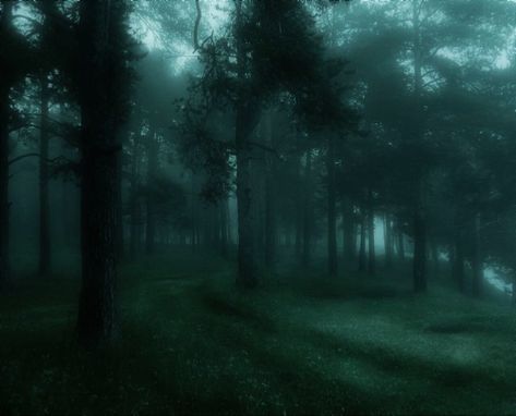 Aesthetic Nature Dark, Mist Aesthetic, Fairy Grunge Aesthetic, Dark Forest Aesthetic, Dark Fairycore, Arte Grunge, Dark Nature, Dark Green Aesthetic, Slytherin Aesthetic