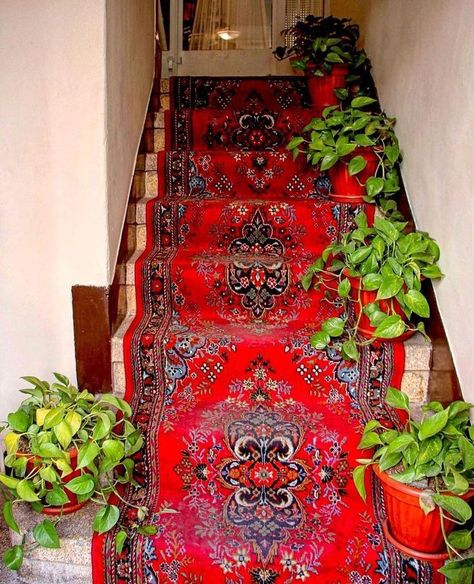 Afghan Carpet, Timeless Elegance, Carpet, Rug, Plants, Red