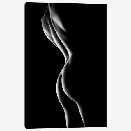 Nude Woman Bodyscape XIV Art Print by Johan Swanepoel | iCanvas Photography References, Low Key Photography, Woman Art Print, Body Art Photography, Silhouette Photography, Studio Photography Poses, Photography Shoot, My Art Studio, Woman Art