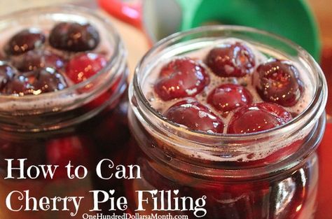 Canning 101 Recipe – Cherry Pie Filling Sugar Free Cherry Pie, Cherry Pie Filling Recipe, Cherry Pie Filling Recipes, Homemade Cherry Pies, Easy Jam, Canning Cherry Pie Filling, Pie Filling Recipes, Canning Recipe, Canned Cherries