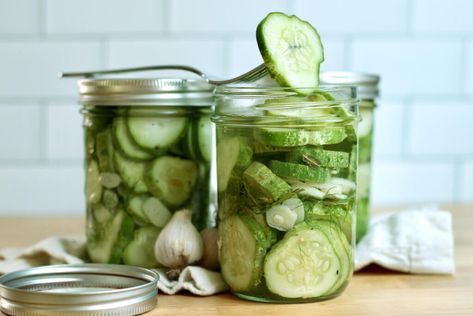 Easy Refrigerator Dill Pickles - Everyday Homemade Refrigerator Dill Pickles, Quick Pickle Recipe, Refrigerator Pickles Dill, Refrigerator Pickle Recipes, Garlic Dill Pickles, Homemade Pickles Dill, Cucumber Varieties, Canning Equipment, Dill Pickle Recipe