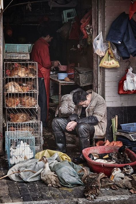 Rich And Poor, Design Campaign, Showing Respect, Emotional Photography, Surrealism Photography, Poor Children, Poor People, National Geographic Photos, World Cultures