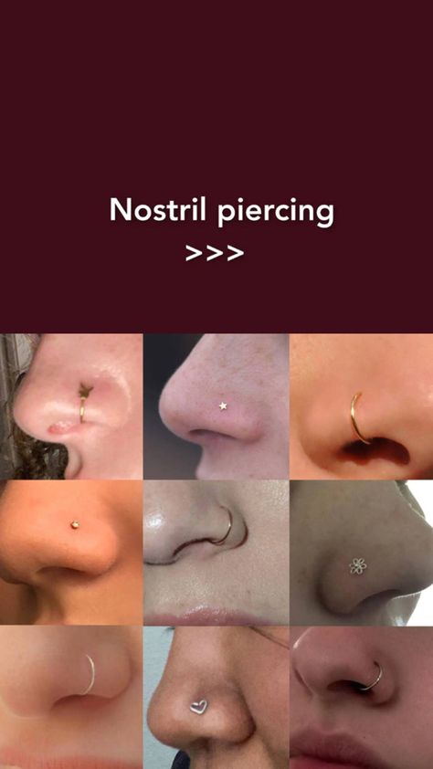 Piercing Names Face, Should I Get A Nose Piercing, Nose Peirce Chart, Cute Nose Piercings, Nostril Piercing, Belly Button Piercing Jewelry, Cool Ear Piercings, Pretty Ear Piercings, Nose Piercings