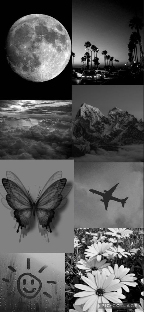 #blackandwhite #wallpaper #rainyday #cloudy #blackandwhitewallpaper #moon #flowers #butterfly #grayskies Blackandwhite Wallpaper, Black And White Butterflies, Butterflies Wallpaper, Butterfly Music, Moon Flowers, White Butterflies, Flowers Butterfly, Pop Art Wallpaper, Black And White Wallpaper