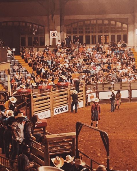 stockyards texas Fort Worth, coliseum rodeo bull riding chute western cowboy cowgirl Texas Stockyards, Ft Worth Stockyards, Chestnut Springs, Nashville Trip, Adventure Bucket List, Ft Worth, Road Trippin, God Bless, Chestnut