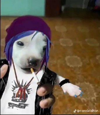 #chloeprice #lifeisstrange Life Is Strange Pfp, Life Is Strange 3, Chloe Price, Nerd Alert, Life Is Strange, Funny Faces, Best Games, Graphic Poster, Cute Icons