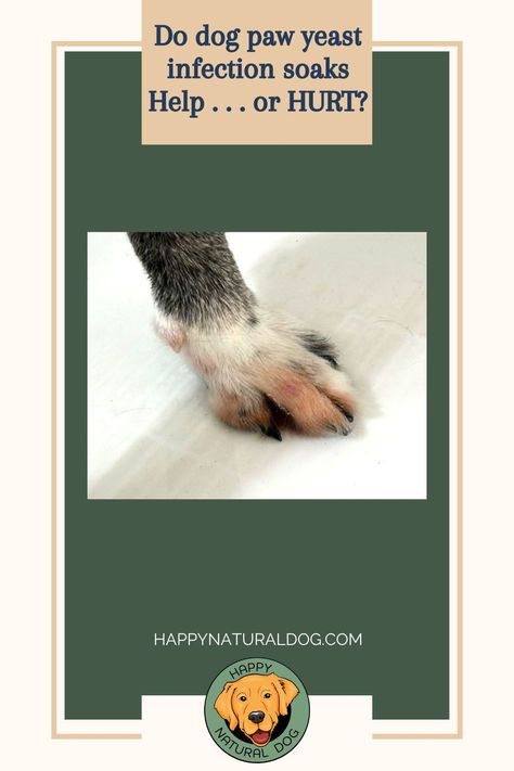 I hoped dog paw yeast infection soaks would be a fabulous home remedy . . . but found out they sometimes make things WORSE! Home Remedy For Dogs Itchy Paws, Yeast In Dogs, Itchy Dog, Dog Toys Indestructable, Dog Allergies, Dog Pin, Dog Health, Dog Paws, Diy Dog Stuff