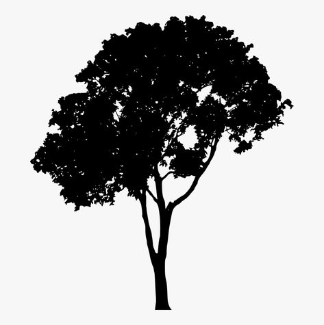 Tree Plan Png, Tree Vector Png, Oak Tree Silhouette, Landscape Architecture Presentation, Silhouette Architecture, Flower Border Png, Digital Art Supplies, Tree Outline, Bat Silhouette