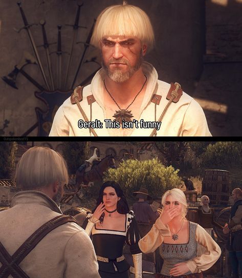 The Witcher Story, Yennefer Witcher, Geralt And Ciri, The Witcher Game, The Witcher Wild Hunt, The Witcher Geralt, Funny Snaps, The Witcher Books, Witcher Art