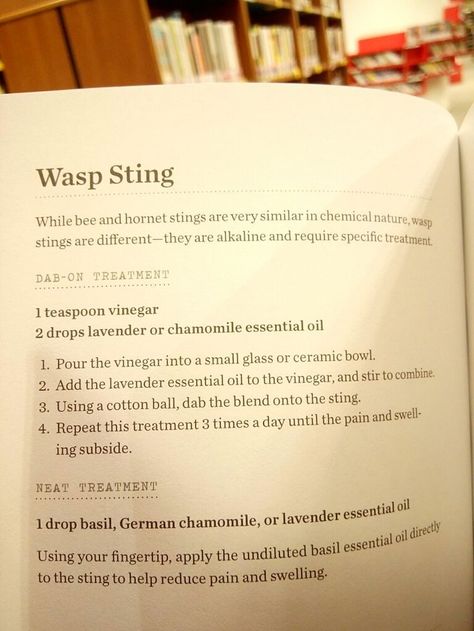 Baking Soda Paste For Bee Sting, Essential Oil For Wasp Sting, Essential Oils For Wasp Stings, Natural Bee Sting Remedy, Essential Oil Wasp Sting, Essential Oils For Bee Stings, Wasp Sting Remedy Swelling, Wasp Stings Relief, Bee Sting Remedy