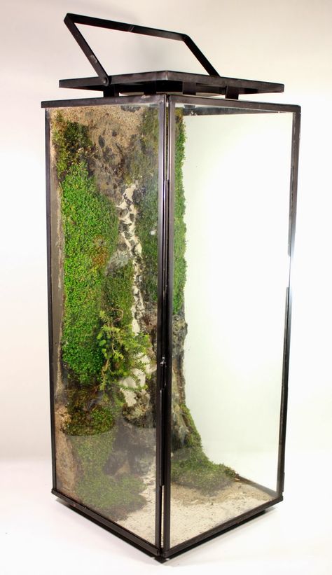 HOW?!!!! Gravity-defying vertical terrarium Vertical Terrarium, Wardian Case, Living Sculpture, Beautiful Terrariums, Mini Terrarium, Air Plant Terrarium, Plant Projects, Moss Terrarium, Moss Garden