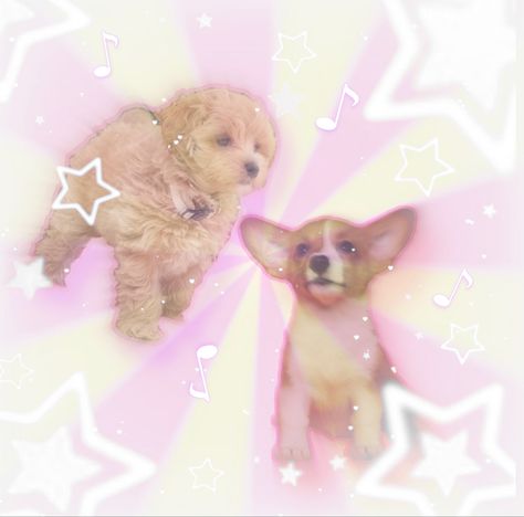 Puppycore Wallpaper, Them Aesthetic, Coquette Blue, Dog Filter, Pink Puppy, Japanese Dogs, Dog Icon, Disney Animals, Silly Dogs