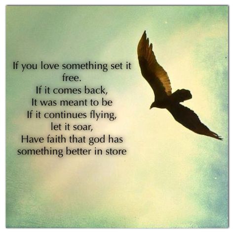 If you love something set it free. If it comes back It was meant to be If it continues flying, let it soar,  Have faith that god has something better in store Set It Free If It Comes Back, If You Love Something Set It Free, Set It Free, Creative Date Night Ideas, Creative Dates, If You Love Someone, Journal Quotes, Sweet Quotes, Night Ideas