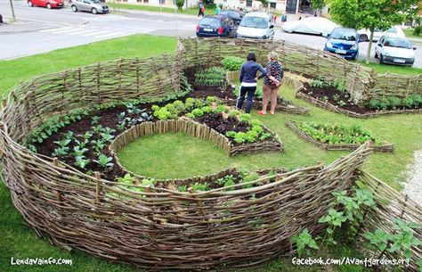 Geder House Keyhole Community Garden, Lendava, Slovenia. Vege Garden Ideas, Garden Sitting Areas, Keyhole Garden, Seaside Garden, Garden Plots, Back Garden Design, Garden Solutions, Coastal Gardens, Community Garden