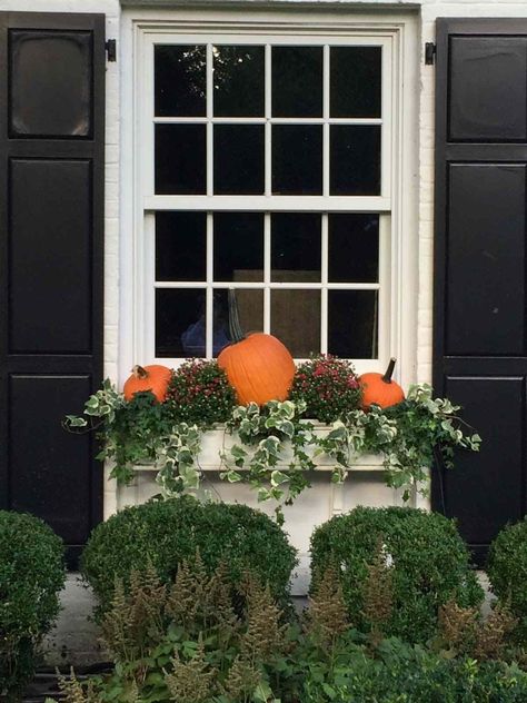 Fall Flower Boxes, Fall Container Plants, Window Box Ideas, Winter Window Boxes, Fall Window Boxes, Fall Windows, Fall Container Gardens, Box Flowers, Fall Containers