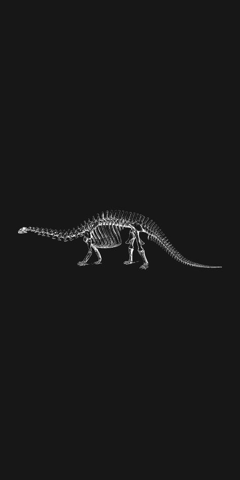 Dinosaur Skeleton Wallpaper, Computer Wallpaper Dinosaur, Dinosaur Fossil Wallpaper, Cool Dinosaur Wallpaper, Dinosaur Widget, Dinosaur Backgrounds, Fossil Wallpaper, Swaggy Wallpapers, Dinosaur Wallpapers