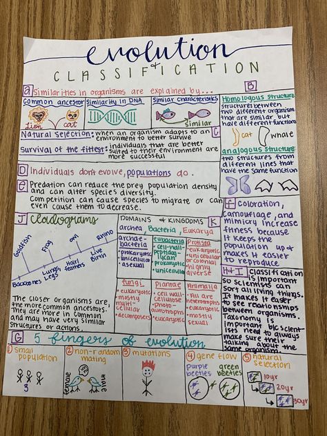 Biology One Pager, Evolution Notes Biology, Environmental Science Notes, One Pager Ideas Aesthetic, Evolution Notes, Taxonomy Classification, Cell Notes, Biology Evolution, Evolution Project