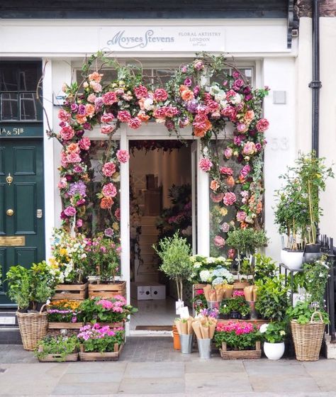 11 prettiest floral displays in London – Flying Scots Girl The Ivy Chelsea, Dominique Ansel Bakery, Hyde Park Corner, Chelsea Garden, The Turning, London Places, Shop Fronts, Floral Shop, Modern Minimalism