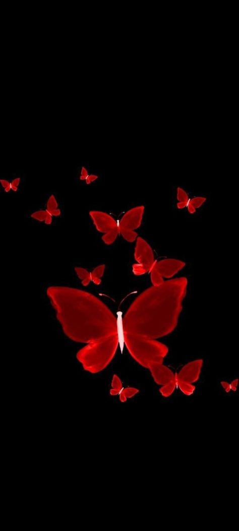 Red Butterflies Wallpaper, Red Lacewing Butterfly, Red Butterfly Wallpaper, Red Butterfly Aesthetic, M Letter Images, Trippy Iphone Wallpaper, Love Wallpaper Backgrounds, Butterfly Wallpaper Backgrounds, Beautiful Butterflies Art