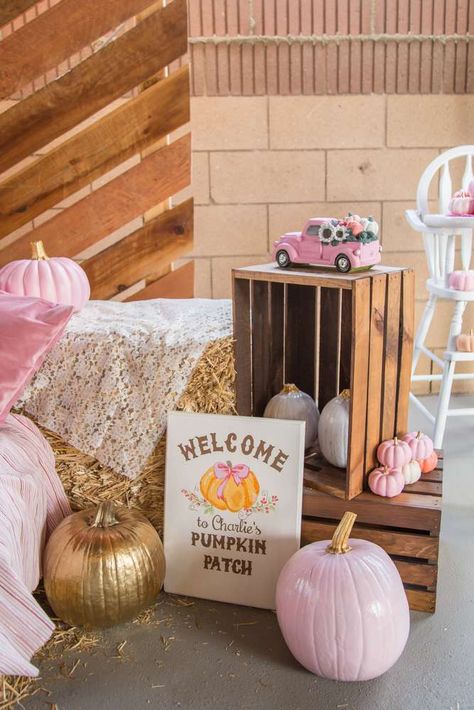 Diy Pumpkin Birthday Decor, Sunflower And Pumpkin Birthday Party, Fall One Birthday Party, Girly Fall Birthday Party, Pink Pumpkin Patch Birthday Party, Lil Pumpkin Birthday Party, Pink Pumpkin First Birthday Girl, 2nd Birthday Pumpkin Theme, Outside 1st Birthday Party Ideas