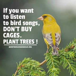 Bird Lover Quotes, Appreciate Life Quotes, Land Cruiser 200, Happy Morning Quotes, Happy Friendship, Jaguar Land Rover, Positive Inspiration, Good Night Messages, Islamic Quotes Wallpaper