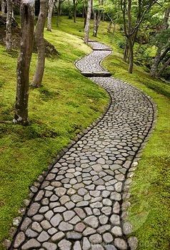 Cobblestone path. Rock Walkway, Walkway Design, Walkways Paths, Path Design, Moss Garden, Stone Path, Forest Garden, Garden Path, Garden Pathway