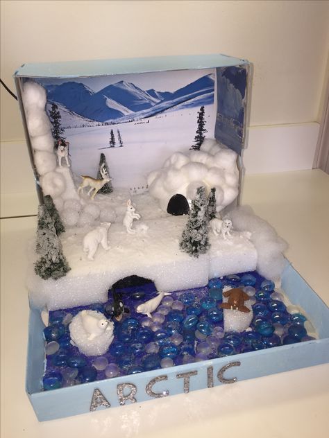 Arctic habitat Diorama Attic Tundra Biome, Arctic Project, Penguin Diorama, Tundra Project, Ecosystems Diorama, Tundra Biome, Biome Project, Penguins Project, Habitat Project