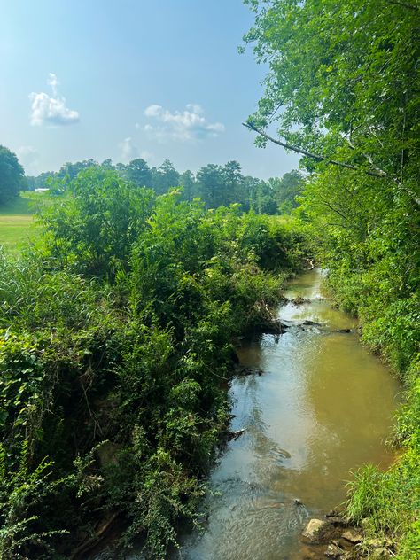 Mississippi Nature, Mississippi Aesthetic, Rural Mississippi, South Aesthetic, Summer Places, Lost Memories, Southern Mississippi, American States, Glass Menagerie