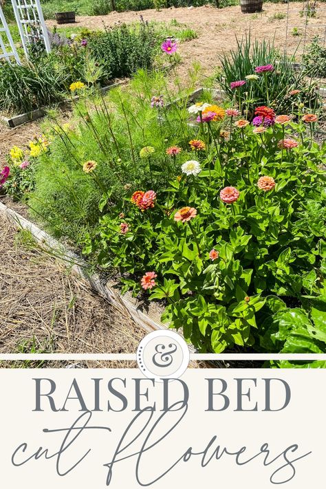 Raised Bed Flower Garden, Planting Flowers From Seeds, Flower Garden Layouts, Designing A Garden, Garden From Scratch, Growing Cut Flowers, Garden Bed Layout, Flower Garden Plans, Raised Flower Beds