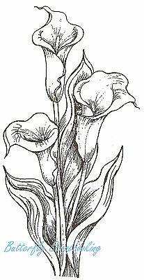 Peace Lily Drawing, Lily Drawing Tattoo, Drawing Tattoo Ideas, Lily Drawing, Lillies Tattoo, Lilies Drawing, Flower Pattern Drawing, Beautiful Flower Drawings, Lily Tattoo