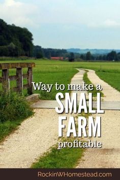 Many people with a pioneering spirit are looking for ways to live on their land and make their small farm profitable. You can make money on your homestead, but you have to be willing to work. | Rockin W Homestead Homestead Family, Cracker House, Starting A Farm, Modern Homesteading, Farm Plans, Farm Layout, Homestead Farm, Farm Projects, Homesteading Ideas