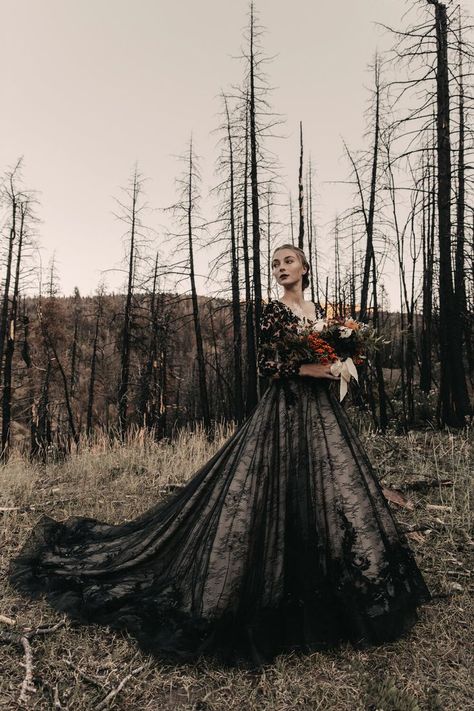 Autumn Bridal Editorial | Editorial Wedding Photographer | Bridal Fashion Editorial | Southern California Wedding Photographer Forest Wedding Dress, Black Lace Wedding Dress, Black Lace Wedding, Black Wedding Gowns, Autumn Bridal, Wedding Dresses A, Wedding Dresses A Line, Bridal Gowns Vintage, Dresses A Line