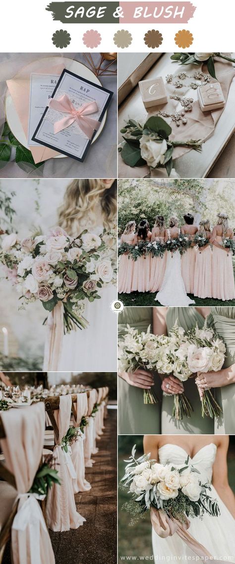 Top 6 Sage Green Weddings Color Palettes---SAGE & BLUSH, fall and winter weddings with elegant invitation. Sage Green Gray And Blush Wedding, Blush Pink And Moss Green Wedding, Eucalyptus Sage And Blush Wedding, Sage Green Taupe Blush Wedding, Safe And Blush Wedding Decor, Sage Green Blush Pink White Wedding, Army Green And Pink Wedding, Eucalyptus Blush Wedding, Dusty Rose Blush Sage Green Wedding