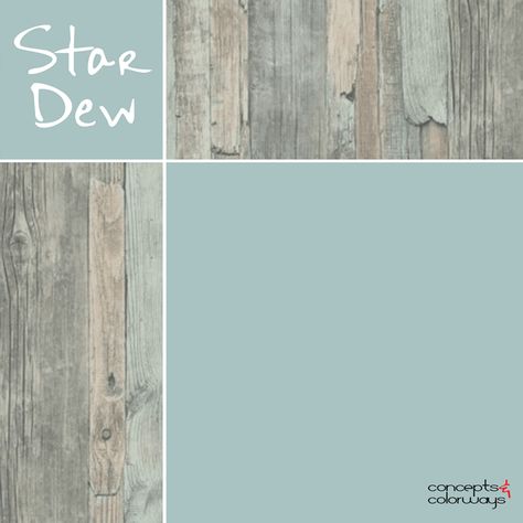 Sherwin Williams Stardew, Eucalyptus Green, Interior Paint Colors, Duck Egg Blue, Accent Lighting, Door Color, Paint Colors For Home, Duck Egg, Florida Home