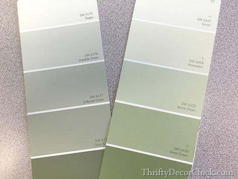 Grey Green Colour Palette, Liveable Green Sherwin Williams, Softened Green Sherwin Williams, Liveable Green, Softened Green, Green Sherwin Williams, Sherwin Williams Green, Green Grey Paint, Blind Test