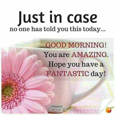 Just In Case No One Has Told You This Today...Good Morning! You Are Amazing. Hope You Have A Fantastic Day! Good Morning Quote, Morning Morning, Good Day Quotes, Morning Greetings Quotes, Morning Inspiration, Morning Blessings, Morning Affirmations, Good Morning Sunshine, Good Morning Inspirational Quotes