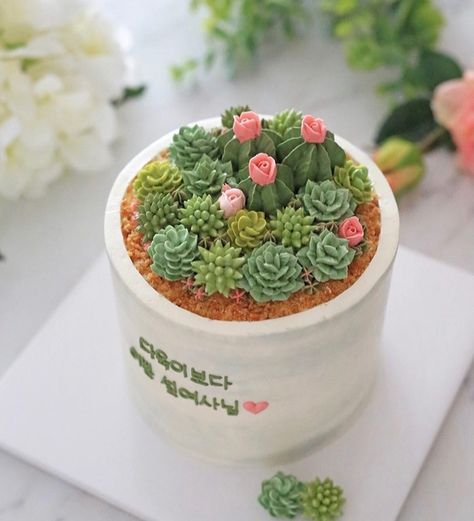 Birthday Cake Plant Design, Plant Lover Cake Ideas, Plant Cake Ideas Minimalist, Succulent Pot Cake, Plants Cake Design, Plant Birthday Cakes, Plant Lover Cake, Plant Cakes Ideas, Flower Pot Cake