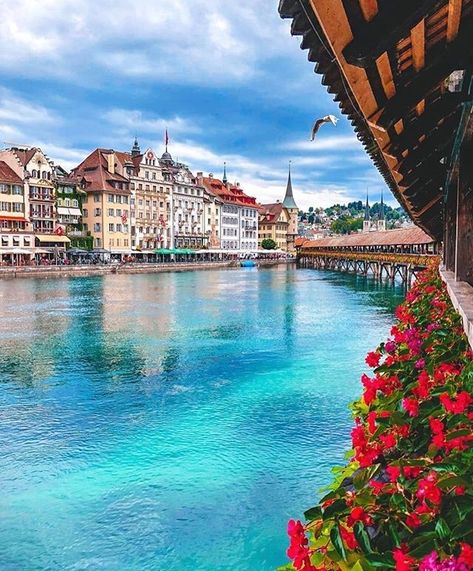 Luzern Luzern Switzerland, Switzerland Photography, Best Travel Insurance, Paris Vacation, Summer Destinations, Voyage Europe, Switzerland Travel, Lucerne, Travel And Tourism