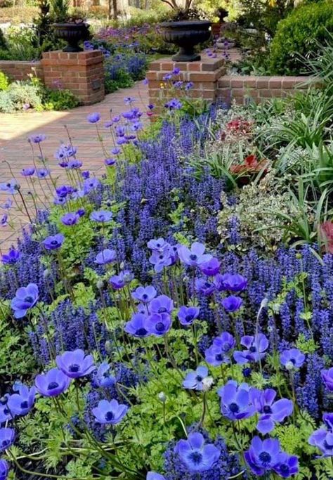 12 Low-Maintenance Garden Border Ideas Boarder Plants, Garden Border Plants, Garden Border Ideas, Shade Landscaping, Annual Garden, Border Ideas, Garden Border, Herbaceous Border, Lavender Garden