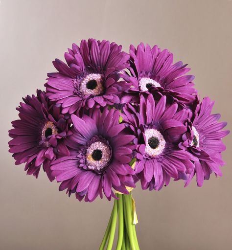 gerber daisy! Purple Daisy Bouquet, Purple Gerbera Daisy, Gerber Daisy Bouquet, Daisy Bouquet Wedding, Stem Bouquet, Bd Ideas, Bouquet Purple, Birthday Flowers Bouquet, Gerber Daisy