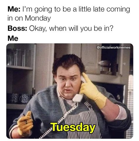 Uncle Buck, Funny Clean, Tuesday Humor, Clean Memes, Scary Mommy, Work Jokes, Work Memes, Work Humor, Work Quotes