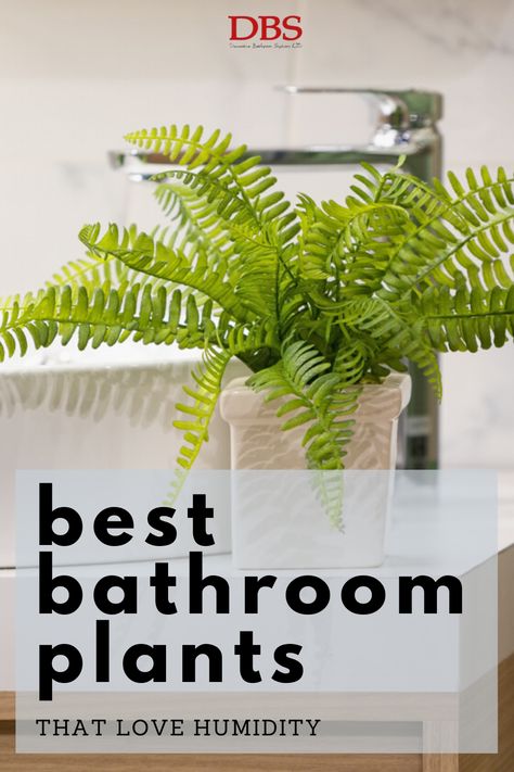 Spa Bathroom With Plants, Plants In The Bathroom Ideas, Bath Plants, Scandinavian Bathrooms, Bathroom Plants No Sunlight, Natural Bathroom Design, Decor Ideas With Plants, Bathroom Plants Decor, Best Bathroom Plants