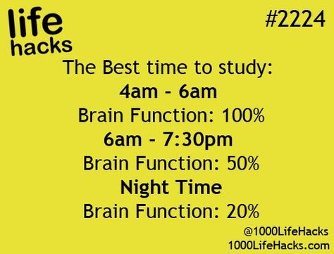 #2224 WOW!!!!!!!! if you want to make sure that your studying correctly study @ 4-6 am. Best Time To Study, 1000 Lifehacks, Studera Motivation, College Life Hacks, 1000 Life Hacks, College Prep, School Study Tips, Life Hacks For School, School Help